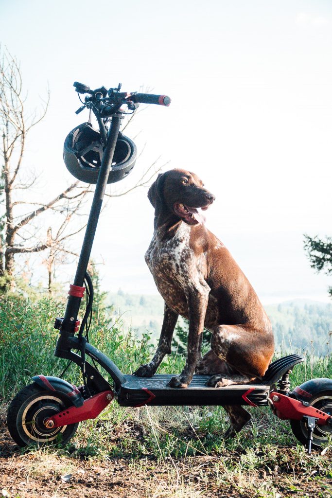 varla scooter NEtZquD8iBs unsplash